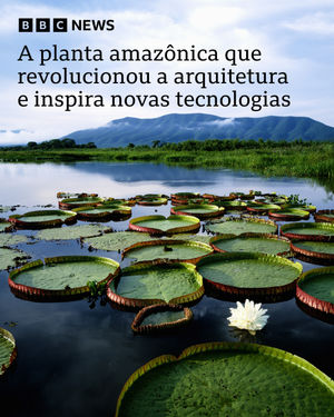 Image post by @bbcbrasil on Instagram