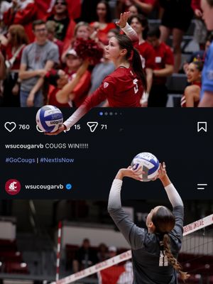 Image post by @wsucougarvb on Instagram