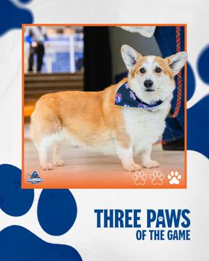 Image post by @ahlislanders on Instagram