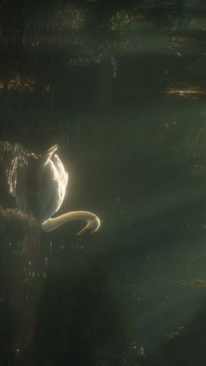 Image post by @inkvoyagestudio on Instagram