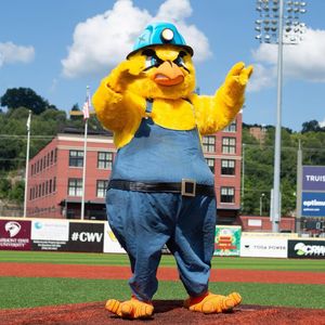 Image post by @dirtybirdscwv on Instagram