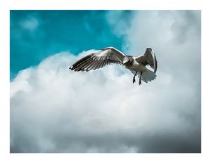 Image post by @leocouphoto on Instagram