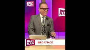 Video post by @dailyflashtv on YouTube
