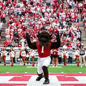 Image post by @hoosierthebison on Instagram