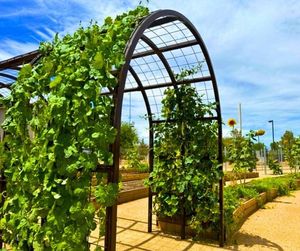 Image post by @hendhappenings on Instagram