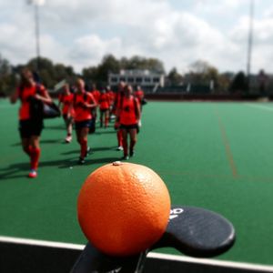 Image post by @cusefh on Instagram