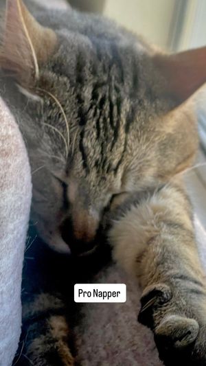 Video post by @tiojefesports on Facebook