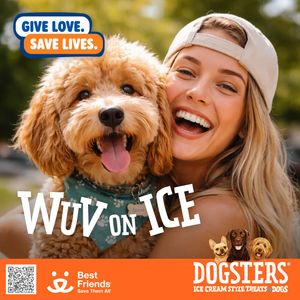 Image post by @dogstersicecream on Instagram