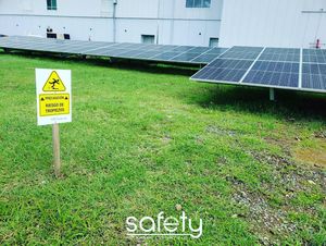 Image post by @safetymcpr on Instagram