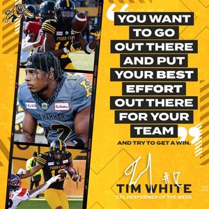 Image post by @hamiltontigercats on Instagram