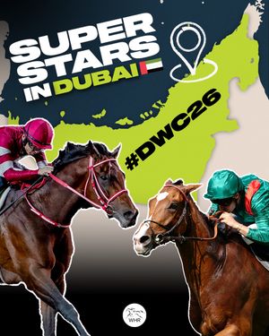 Image post by @worldhorseracing on Instagram