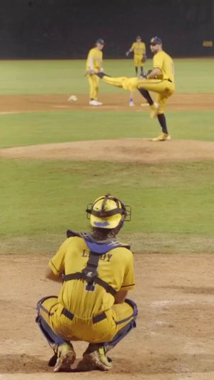 Video post by @baseball.institute on Instagram