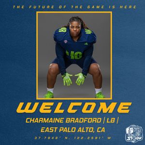 Image post by @goldenstatestorm on Instagram