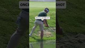 Video post by @southernguardsgc on YouTube