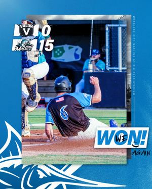 Image post by @mhcmarlins on Instagram