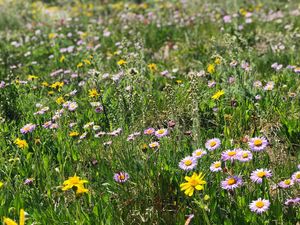 Image post by @breckenridgemtn on Instagram
