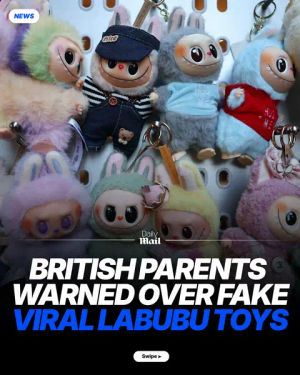 Image post by @dailymailuk on TikTok