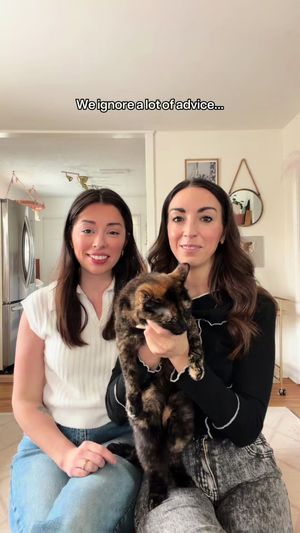 Video post by @allieandsam on TikTok