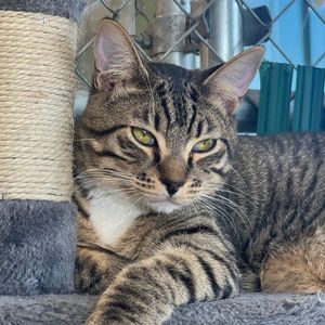 Image post by @whitmanpets on Instagram