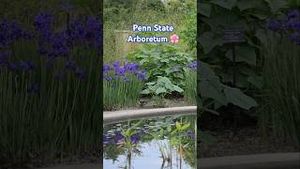 Video post by @Penn State University on YouTube