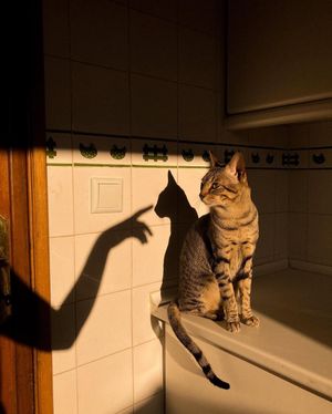 Image post by @fubiz on Instagram