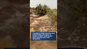 Video post by @abc15 on YouTube