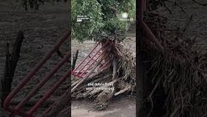 Video post by @accuweather on YouTube