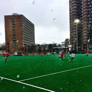 Image post by @terrierfh on Instagram