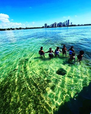 Image post by @tranquilo_y_tropical_miami on Instagram