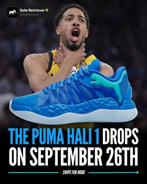 Image post by @soleretriever on Instagram