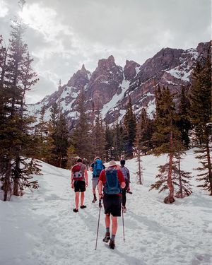 Image post by @connorpickett on Instagram