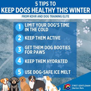 Image post by @firstgentmarlonreis on Instagram