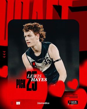 Image post by @essendonfc on Instagram