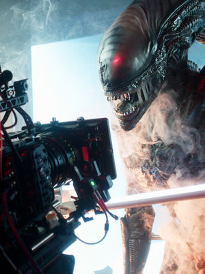 Video post by @hulu on TikTok