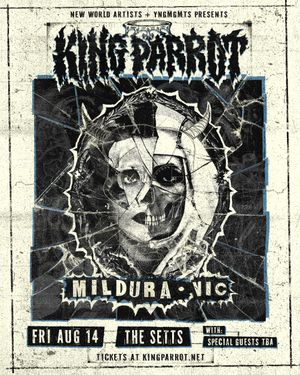 Image post by @kingparrotband on Instagram