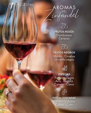Image post by @riedelpartner_vnzla on Instagram