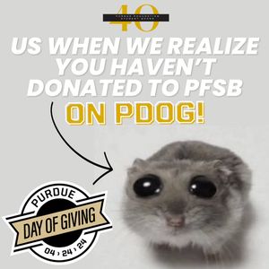 Image post by @pfsb_ on Instagram