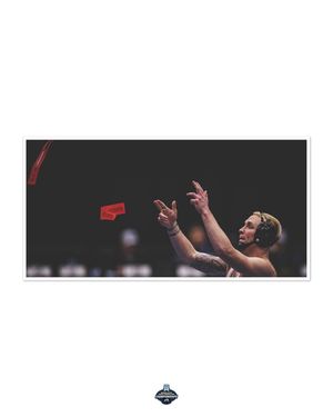 Image post by @kodiak_creative on Instagram