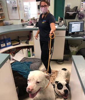 Image post by @suncoasthumane on Instagram