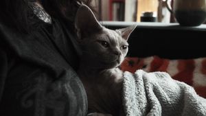 Image post by @mishaperiphery on Instagram