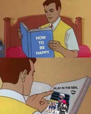 Image post by @nationalballhockeyleague on Instagram