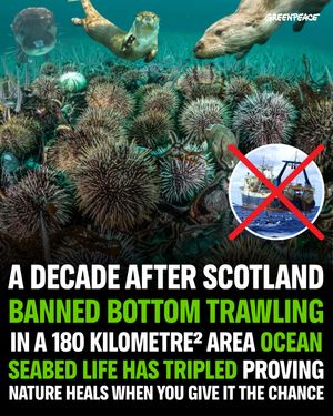 Image post by @greenpeace on Instagram