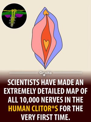 Image post by @gravitonomy on Instagram