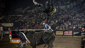 Video post by @pbr on YouTube