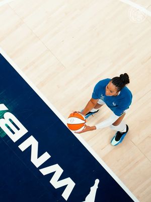 Image post by @minnesotalynx on Instagram