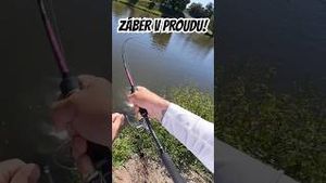 Video post by @jonasederfishing on YouTube