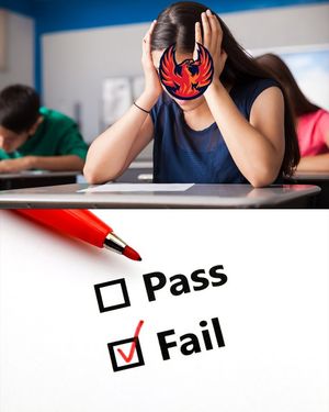 Image post by @sjbarracuda on Instagram