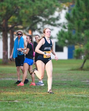 Image post by @nsu_xctf on Instagram