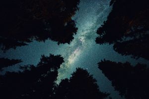 Image post by @anthonypolitano on Instagram