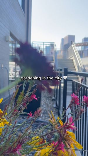 Video post by @ElementMinneapolisDowntown on Facebook